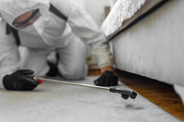 Professional Bed Bug Control technician working in Hutchinson, KS