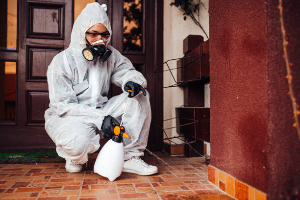 Reliable Bed Bug Control contractor in Hutchinson, KS by Nex Pest Control