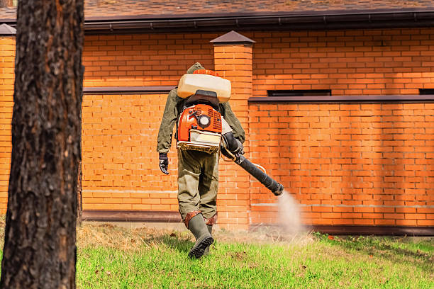 Trusted Mosquito Control service in Hutchinson, KS - Nex Pest Control